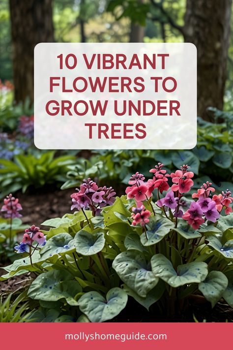 Discover the best flowers to plant under trees to enhance your shaded garden areas. From vibrant blooms to colorful plants, find a variety of options for adding beauty and pops of color beneath your trees. Explore shade-loving shrubs and flowering plants that will thrive in the dappled light environment. Whether you're looking for pretty flowers or eye-catching foliage, there are plenty of choices for creating a stunning landscape around your trees. What To Plant In Shaded Area, What To Plant Under Trees, Trees That Grow In Shade, Shade Garden Flowers, Gardens Around Trees, Flowers Under Tree, Plants Under Pine Trees, Natural Garden Design, Flower Garden Inspiration