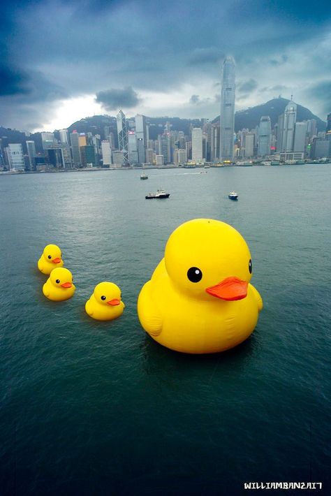 Duck Wallpaper, Quack Quack, Rubber Ducks, Hong Kong Travel, Painting Subjects, Rubber Ducky, Mellow Yellow, Rubber Duck, Public Art