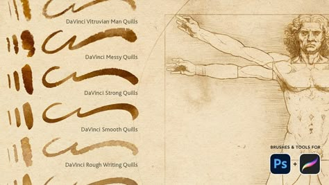 Leonardo Da Vinci’s Drawing Tools for Photoshop and Procreate Procreate Pens, Free Procreate Brushes, Brush Procreate, S Drawing, Procreate Ipad Tutorials, Best Procreate Brushes, Free Brushes, Ipad Tutorials, Illustrator Brushes