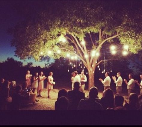 Fall Vintage Evening Wedding. Perfect pecan tree in our back pasture. Wedding Tree Lights Outdoor, Wedding Ceremony Under Tree Fall, Wedding Under Oak Tree Outdoor Ceremony, Oak Tree Wedding Ceremony Hanging Lights, St Simons Oak Tree Wedding Vebuw, Outdoor Evening Wedding, Outdoor Evening, Satin Mermaid Wedding Dress, Ibiza Wedding