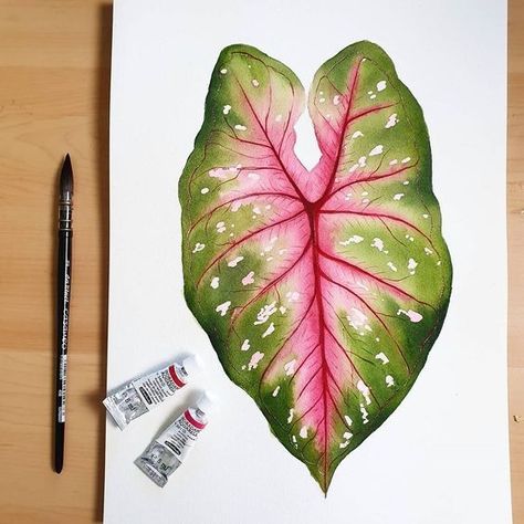 Colored Pencil Plant Drawing, Illustration Botanique, Watercolor Plants, Leaf Drawing, Watercolor Flower Art, Plant Painting, Plant Drawing, Watercolor Art Lessons, Botanical Painting