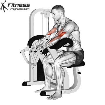 Lever Preacher Curl 1 Daily Gym Workout Plan, Best Biceps, Bicep And Tricep Workout, Free Workout Plans, Workout Program Gym, Gym Plan, Bicep Muscle, Daily Gym Workout, Preacher Curls