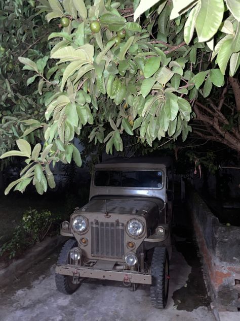 Open Jeep, Jeep Aesthetic, Aesthetic Old, Old Jeep, Alcohol Aesthetic, Old School Cars, Jeep Cj, Gold Aesthetic, Instagram My Story