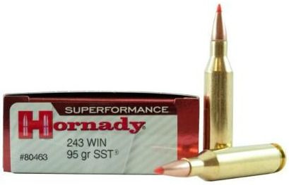 243 Winchester, 300 Win Mag, Shooting Target, Shooting Targets, Target Practice, A Deer, Home Security, Winchester, Deer