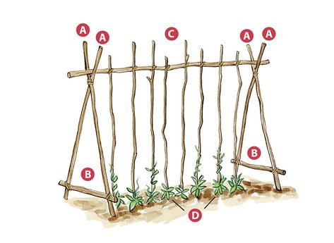 Diy Vegetable Garden, Backyard Trellis, Diy Garden Trellis, Vertical Vegetable Garden, Diy Trellis, Garden Types, Veg Garden, Have Inspiration, Home Vegetable Garden