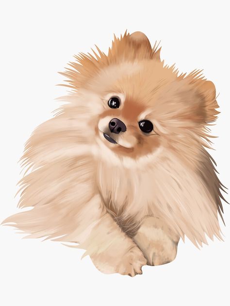 How To Draw Pomeranian, Pomeranian Dog Tattoo, Pomeranian Puppy Drawing, Cute Dogs Drawing, Pomeranian Dog Drawing, Pomeranian Wallpaper, Shading Techniques Digital, Pomeranian Drawing, Draw Pomeranian