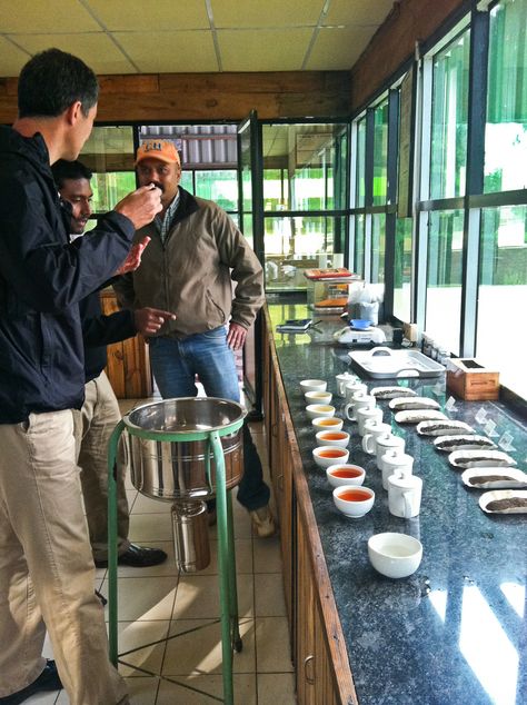 The Korakundah Tea Factory tastes every batch of tea for quality assurance. Seth Goldman, Founder & TeaEO of Honest Tea, is shown here tasting their latest batch. Tea Sommelier, Steaming Tea Aesthetic, Tea Farm Photography, Tea Estate Photography, Assam Tea Garden, Assam Tea Garden Photography, Honest Tea, Tea Culture, Tea House