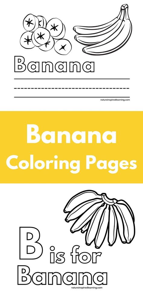 Two black and white coloring sheets with different banana designs including a bunch of bananas and banana slices.  A yellow rectangle in between with white text overlay. B Is For Banana, Homeschooling Elementary, Kindergarten Coloring Sheets, Coloring Pages For Preschool, Fruit Coloring, Letter Flashcards, Banana Slices, Letter Tracing Worksheets, Abc Printables