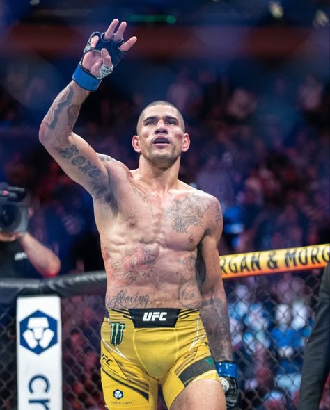 Alex Pereira Wallpaper Ufc, Alex Pereira Wallpaper, Nate Diaz Ufc, Mma Videos, Alex Pereira, Heptathlon, Mma Workout, Ufc Boxing, Messi Vs