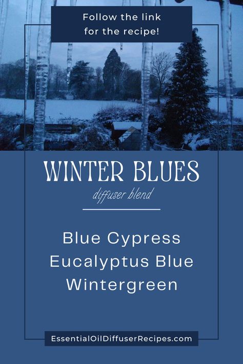 When cabin fever sets in give yourself a boost with the uplifting scent of the Winter Blues essential oil diffuser recipe. This blend combines clean wood notes with crisp herbal and sweet mint aromas for a bright, stimulating fragrance. The Winter Blues essential oil diffuser blend contains blue cypress, eucalyptus blue, and wintergreen essential oils. Blue Cypress, Wintergreen Essential Oil, Clean Wood, Cypress Essential Oil, Sweet Mint, Oil Diffuser Recipes, Essential Oil Diffuser Recipes, Diffuser Blend, Diffuser Recipes