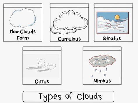 Cloud Types Clipart (21+) Clouds Worksheet, Classroom Signs Printable, Types Of Clouds, Preschool Clipart, Cloud Activities, Kindergarten Posters, Cloud Type, Weather Unit, Map Activities