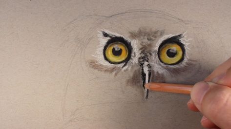 Pastel Pencils - How to Draw an Owl Owl Colored Pencil Drawing, Owl Pastel Drawing, Draw An Owl, Crayons Pastel, Soft Pastels Drawing, Owl Artwork, Pencil Drawings Of Animals, Draw Animals, Pastel Artwork