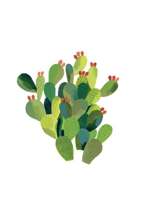 Eucalyptus Polyanthemos, Succulents Illustration, Cactus Paintings, Cactus Art Print, Cactus Illustration, Watercolor Cactus, Cactus Art, Floral Artwork, Plant Illustration