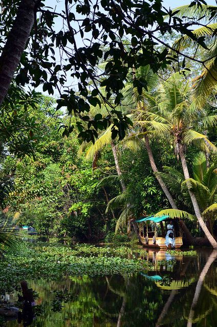 Backwaters Alleppey - India 2013 | by clemencepalvadeau Alleppey Photography, India Honeymoon, Honeymoon Tour Packages, Kerala Tourism, Honeymoon Tour, South India, Incredible India, India Travel, Tour Packages