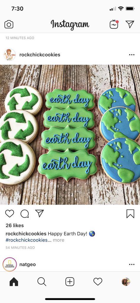 Earth day Cookie Themes, National Cookie Day, Royal Iced Cookies, Fancy Cupcakes, Cookies Theme, Bakery Display, Cookie Tutorials, Sugar Cookie Designs, Baking Business