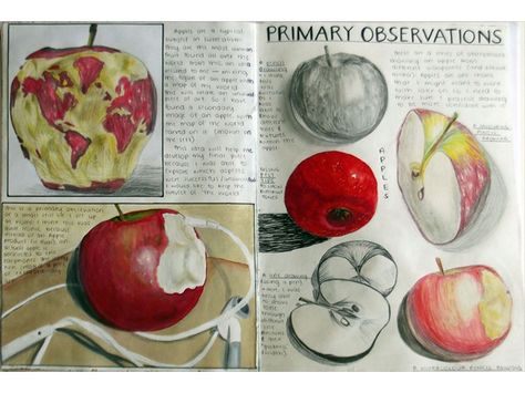 A03 Sketchbook Development, Natural Forms Gcse, Art Igcse, Gcse Sketchbook, Decay Art, Ib Art, Sketchbook Layout, Natural Form Art, Observational Study