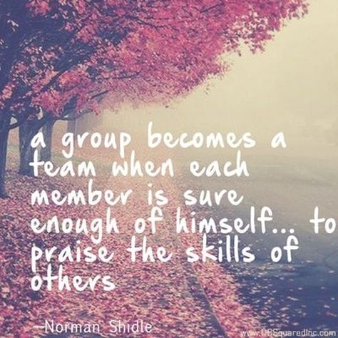 Be a team player and praise others #Inspiration #Leadership #EnvisionROC Quotes Girlfriend, Good Teamwork, Hello February, Team Building Quotes, Team Quotes, Leadership Inspiration, Teamwork Quotes, John Maxwell, Work Motivation