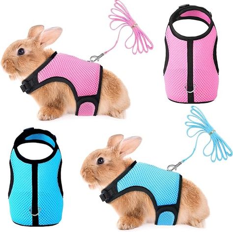 SATINIOR 2 Pieces Bunny Rabbit Harness with Leash Cute Adjustable Buckle Breathable Mesh Vest for Kitten Puppy Small Pets Walking (M, Blue, Pink) Medium Bunny Leash, Rabbit Harness, Bunny Harness, Bunny Accessories, Baby Ferrets, Mesh Vest, Cowboy Baby Shower, Puppy Harness, Foster Kittens