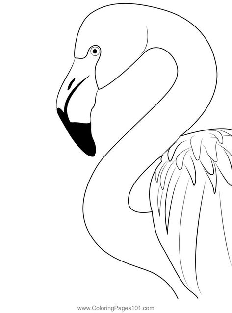 Pink Flamingo Birds Head Coloring Page Flamingo Coloring Page, Pink Flamingos Birds, Flamingo Theme, Kid Coloring Page, Coloring Page Printable, Flamingo Party, Coloring Pages Printable, Step By Step Painting, Digi Stamps