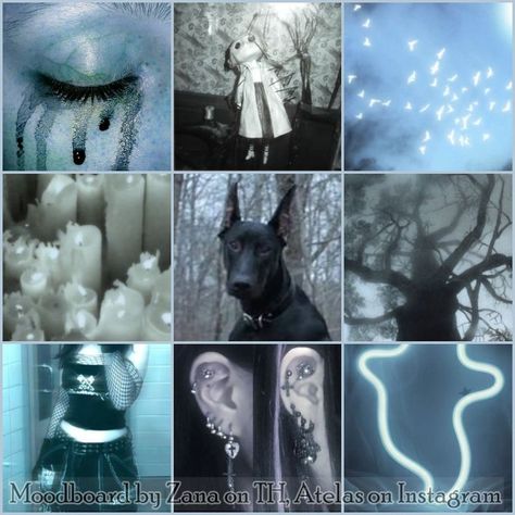 I've always loved making moodboards, so here are a few that I had fun doing. All images come from pinterest, and have a specific theme and species. They are free! use them to create your adopts or oc (no need to credit me until the signature is not removed) Blue Ghost, Adopt Idea, Dog Aesthetic, Aesthetic Moodboard, Rainbow Aesthetic, Free Use, Mood Board Inspiration, Mood Board Design, Mood Board Fashion