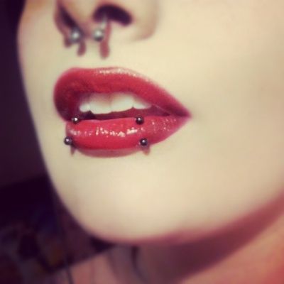 snake bites and septum piercings Lip Piercing Stud, Snake Bite Piercing, Snakebites, Face Piercings, Cool Piercings, Red Tattoos, Facial Piercings, Cute Piercings, Snake Bites