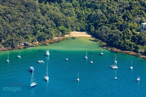 Taylors Bay, Mosman, Sydney North Lavender Bay Sydney, Mosman Sydney, Batemans Bay Australia, Northern Beaches Sydney, Jervis Bay Australia At Night, Sydney Northern Beaches, New South Wales Australia, South Wales, New South Wales