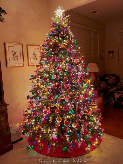 Rainbow Lights Christmas Tree, Rainbow Lights, Rainbow Christmas Tree, Christmas Tree Inspo, Christmas Dreaming, Tacky Christmas, Rainbows Christmas, Christmas Themes Decorations, Christmas Tree Inspiration