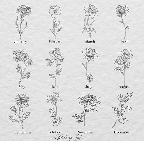 Hawthorne Flower Drawing, Hawthorne Flower Tattoo Simple, Birth Flower Drawings, Birthflower Zodiac Tattoo, Fineline Flowers, Hawthorne Flower Tattoo, Violet Tattoo, Minimalist Tattoo Ideas, Cute Simple Tattoos