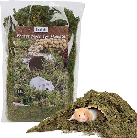 Amazon.com : DR.DUDU 15L Forest Moss for Hamster Bedding Nesting, Syrian Gerbils Hamster Cages Accessories, Perfect for Small Animals Terrarium Moss : Pet Supplies Hamster Terrarium, Syrian Hamster Cages, Hamster Accessories, Terrarium Moss, Hamster Habitat, Hamster Bedding, Forest Moss, Rat Cage, Hamster Cages