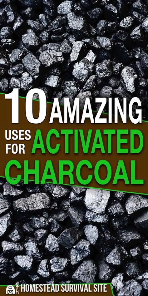 Uses For Activated Charcoal, Activated Charcoal Uses, Charcoal Benefits, Activated Charcoal Benefits, Charcoal Uses, Active Charcoal, Wood Charcoal, Survival Techniques, Homestead Survival