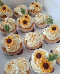 White Rose And Sunflower Wedding Theme, Sunflower Dessert Table Ideas, Sunflower Birthday Parties, Sunflower Cupcakes, Rustic Cupcakes, Sunflower Cake, Sunflower Baby Showers, Sunflower Themed Wedding, Sunflower Bridal Shower