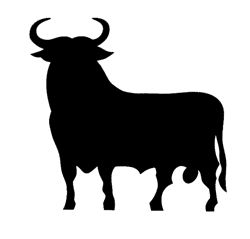 Spain. Rocky Mountain Oysters, Bull Skull Tattoos, All About Us, Mexican Paintings, Western Books, Longhorn Cattle, Bull Tattoos, Stencils Printables, Black Bull