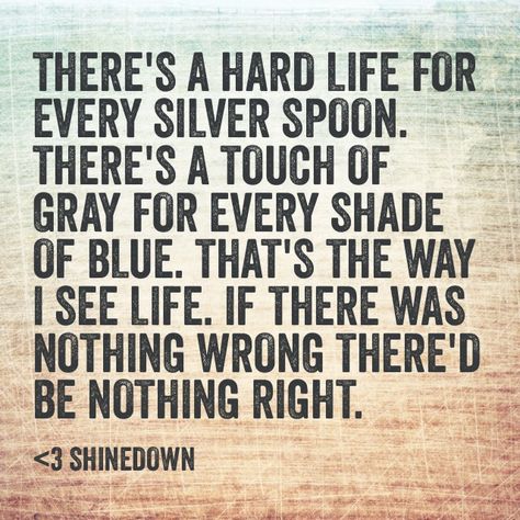 <3 Shinedown. And it's grammatically correct, miracle of miracles! Shinedown Quotes, Shinedown Lyrics, Rock Lyrics, Brent Smith, Music Quote, Lyrics To Live By, Great Song Lyrics, Band Quotes, Music Is My Escape