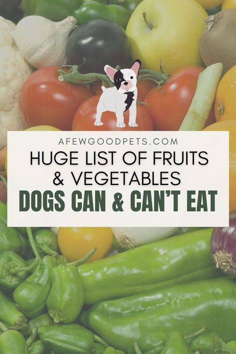 Best Vegetables For Dogs, Dog Foods They Can Eat, Foods That Dogs Can Eat, Vegetable For Dogs, Foods Not To Give Dogs, Foods Safe For Dogs, Foods That Are Good For Dogs, Dog Friendly Vegetables, What Foods Can Dogs Eat