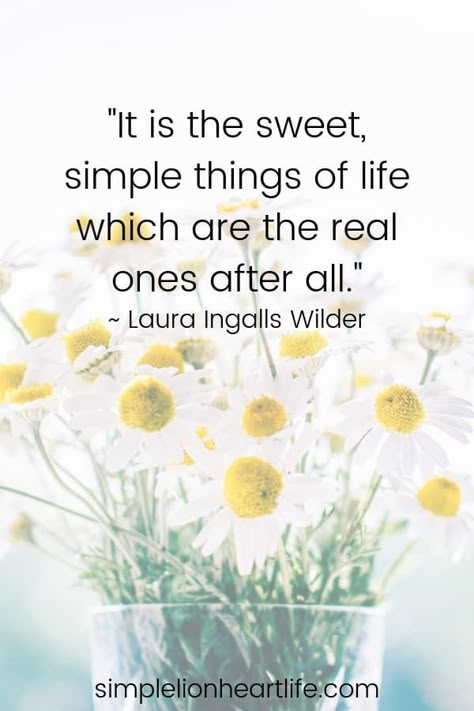 25 Simple Living Quotes to Inspire you to Declutter & Simplify your Life! - Simple Lionheart Life Numerology Books, Simple Living Quotes, Live Quotes For Him, Simple Life Quotes, Simplicity Quotes, Living Quotes, Quotes Dream, Spring Quotes, Minimalist Quotes