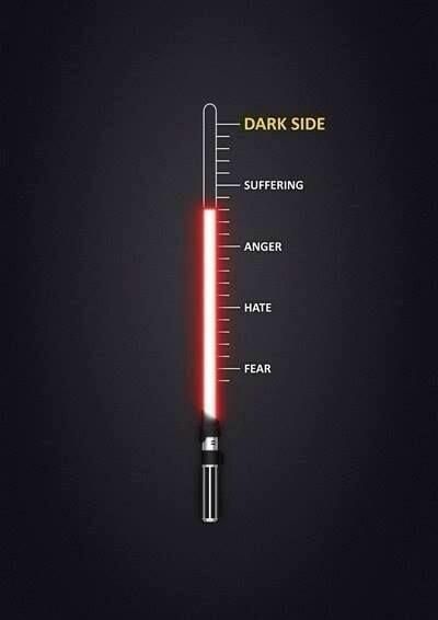 Star Wars: Fear is the path to the Dark Side Fear Leads To Anger, Star Wars Meme, Anakin Vader, Dark Vador, Star Wars Love, I Love Cinema, Star Wars Wallpaper, Star Wars Images, Star Wars Pictures