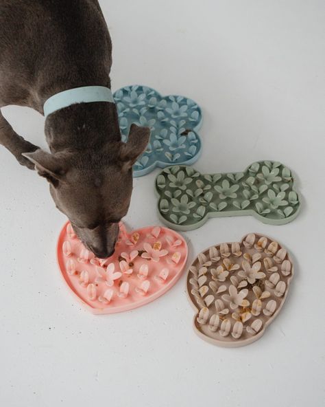 Keep your dog entertained with fun activity toys that promote mental stimulation. Dog Things Pet Products, Pet Enrichment, Dog Enrichment Toys, Dog Snuffle Mat, Cool Dog Stuff, Things For Dogs, Cute Dog Accessories, Snuffle Mat, Toys For Dogs