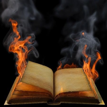 Liar, Liar, Bible on Fire – Legionwriter Book Burning, Writing Voice, Crps Awareness, Charity Gifts, Ray Bradbury, Old English Sheepdog, New Rock, Urban Fantasy, Library Books