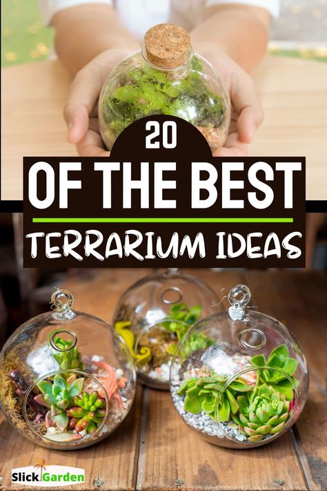 20 Of The Best Terrarium Ideas. Following are some ideas that will help you to create a moss terrarium at home. You can choose one and make a dull room colorful by adding green plants. Globe Terrarium Ideas, Faux Plant Terrarium, Clear Plastic Terrarium Globes Ideas, Terrarium Globe Ideas, Terrarium Plants Open, Terrarium Ideas Fake Plants, Glass Jar Plant Ideas, Small Hanging Terrarium Ideas, Small Glass Terrarium Ideas