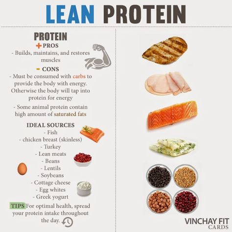 Why Protein Matters Protein Foods List, Lean Diet, Lean Protein Meals, Protein Food, Lean Meals, Fat Burning Diet, Protein Desserts, Protein Diets, Food Journal