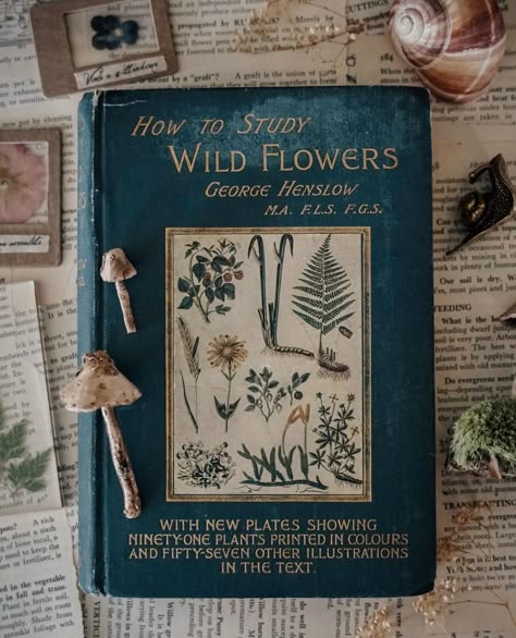 Books Plants Aesthetic, Botany Books Aesthetic, Gardening Books Aesthetic, Herbalism Books, Books About Herbs, Green Academia, Books To Read Nonfiction, Book Bucket, Plant Book