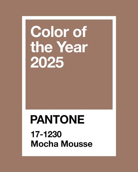 Do you like the new Pantone color of the year? 🤎  This year’s color brings timeless elegance and cozy serenity, reflecting a universal longing for comfort and harmony. It’s an inspiring shade that resonates deeply—and we at Feel This love it so much because it perfectly reflects our own brand’s aesthetic and values. To celebrate, we’ve crafted our own color palettes featuring this stunning color. #pantone #pantone2025 #coloroftheyear #designstudio #palettes #branding #brandidentity #brand... Pantone Of The Year 2025, Color Of 2025 Pantone, 2025 Colors Trend, Pantone Colors 2025, Pantone Color Of The Year 2024, 2025 Pantone Color Of The Year, 2025 Color Palette, Color Of The Year 2025, Pantone Color Of The Year 2025