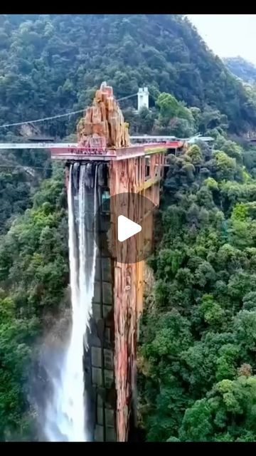 Pretty Places Nature, Peaceful Scenery Nature, Nature Pictures Beautiful Landscapes, Amazing Nature Videos, Natural Video, Unbelievable Pictures, Hotel Hacks, Weird Trees, Waterfall Scenery