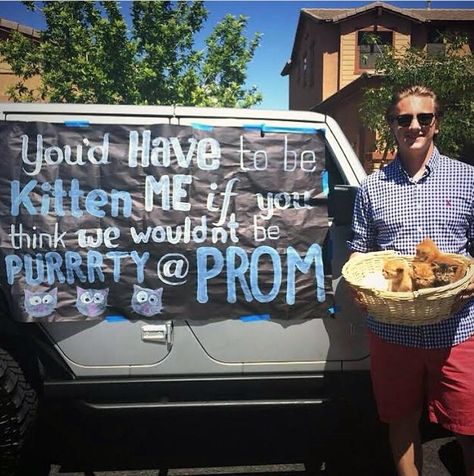 Ummmm....YES! Can I keep the kittens too?! #promposal Basketball Promposals, Prom Asks, Dance Proposals, Promposal Ideas, Prom Proposals, Cute Prom Proposals, Asking To Prom, Dance Proposal, Sadie Hawkins