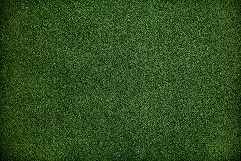 70,000+ Best Free Background Images & Pictures [HD] - Pixabay Green Monochrome, Green Grass Background, Fake Turf, Grass Background, Grass Wallpaper, Grass Pattern, Free Background Images, Artificial Lawn, Fake Grass