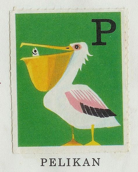 Pelican Drawing, Pelican Art, Childrens Alphabet, The Letter P, Alphabet Cards, Animal Alphabet, Letter P, Bird Illustration, Alphabet Illustration