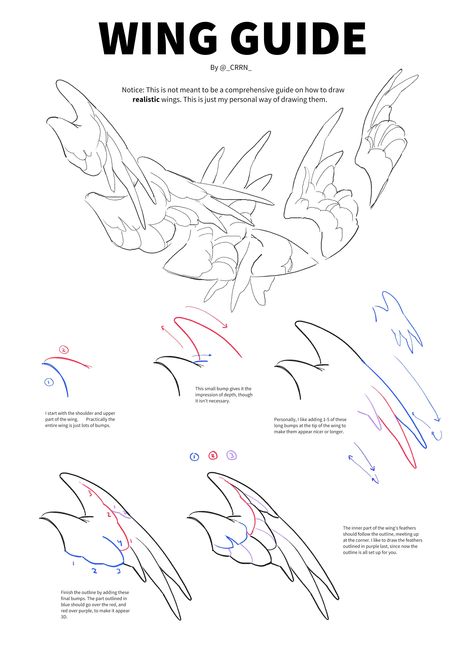 GTEsEY6XYAAlQZS (2718×3732) Dynamic Wing Poses, Bat Wings Folded, Fin Ears Drawing, Flying Reference Pose Wings, Bird Anatomy Reference, Closed Wings Drawing, How To Draw A Pelican, Feather Ears Drawing, Wing Art Reference