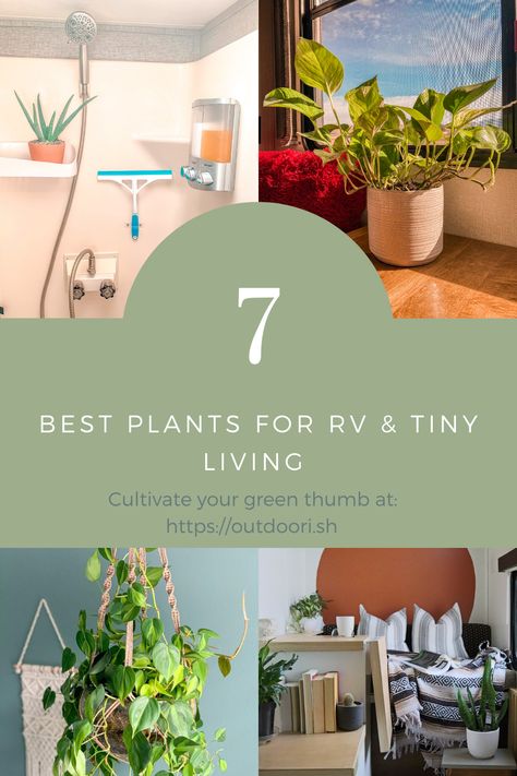 Camper Plants, Rv Plants, Rv Decor Ideas, Decorating Your Rv, Rv Decorating Ideas, Rv Diy, Trailer Design, Rv Inspiration, Rv Decorating