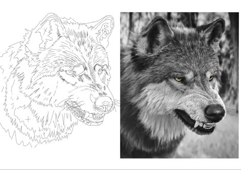 Wolf Tattoo Stencil, Tatu Ideas, Tattoo Stencil Designs, Wolf Pics, Design Outline, Egypt Tattoo, Stencil Design, Tattoo Stencil Outline, Tattoo Stencil