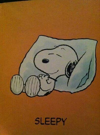 Good Sleep Aesthetic, Sleepy Drawing, Sleepy Wallpaper, Sleepy Character, Sleepy Meme, Sleepy Pfp, Sleepy Snoopy, Sleepy Cartoon, Sleepy Art